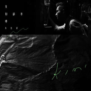 国产99精品视频
