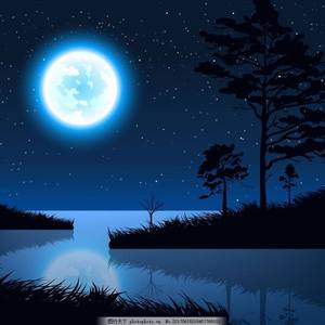 国产99精品视频
